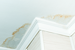 天井にシミがある